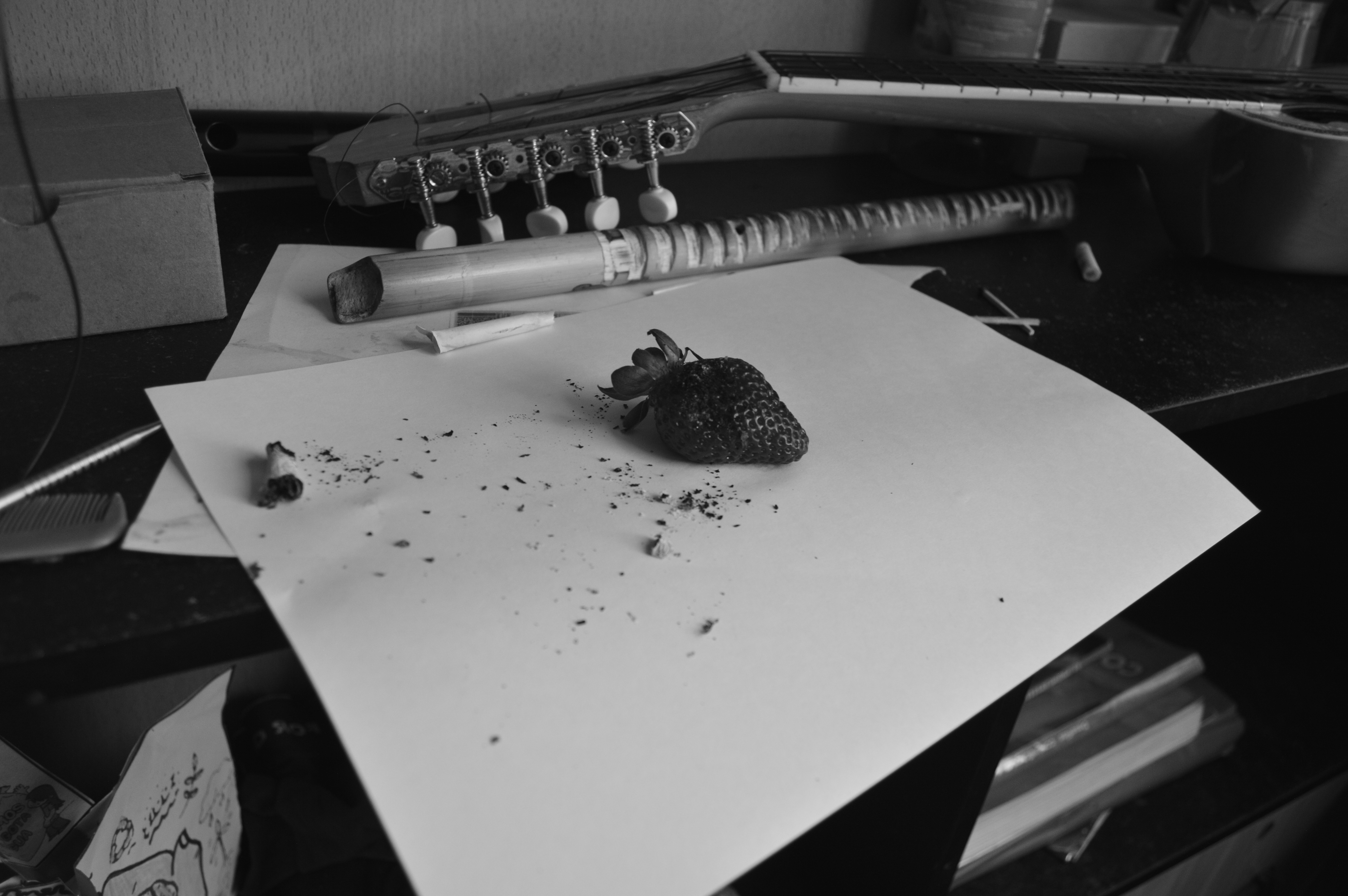 Fresa Blunt, audiovisual project